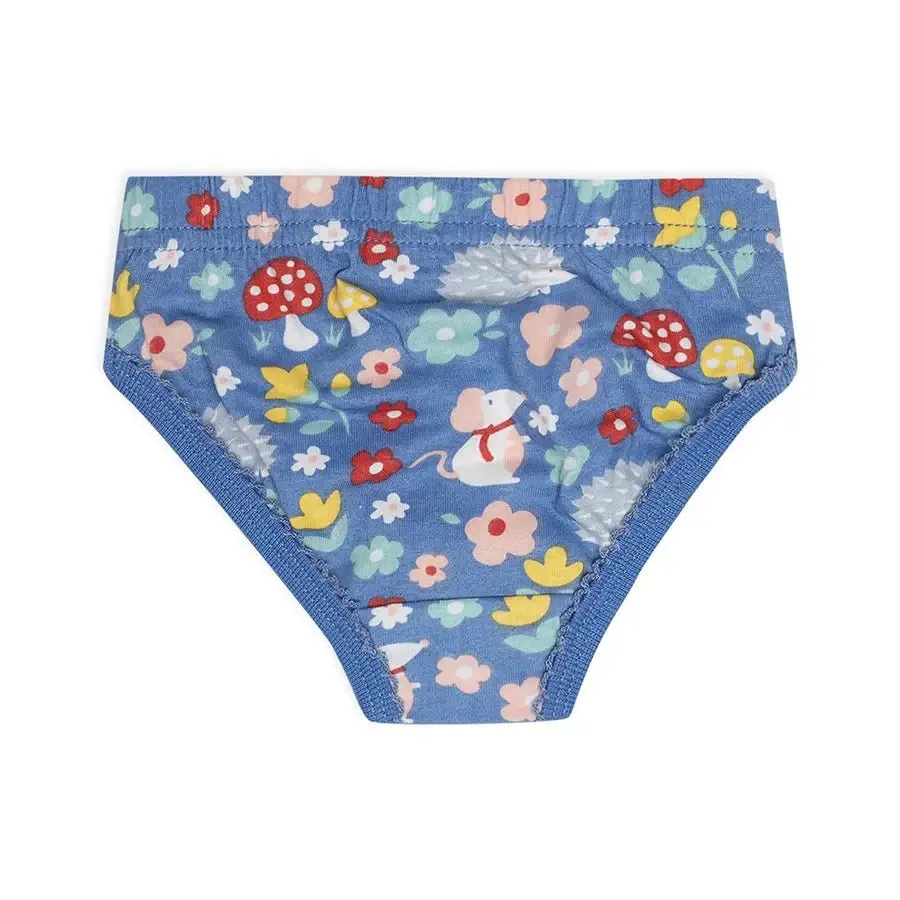 Baby Girl Briefs with Blossom Print- (Pack of 3)